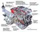 Bản cắt chi tiết các thành phần động cơ Honda VTEC thể hiện các tính năng cơ khí và thiết kế tiên tiến